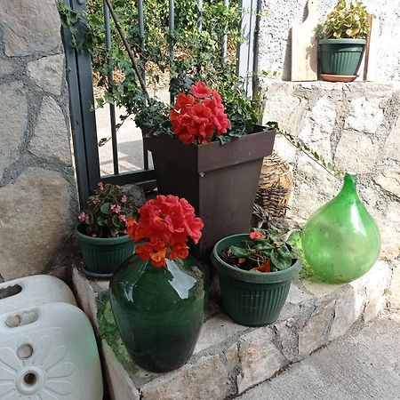 Apartments Nino Skadar Lake Virpazar Exterior foto
